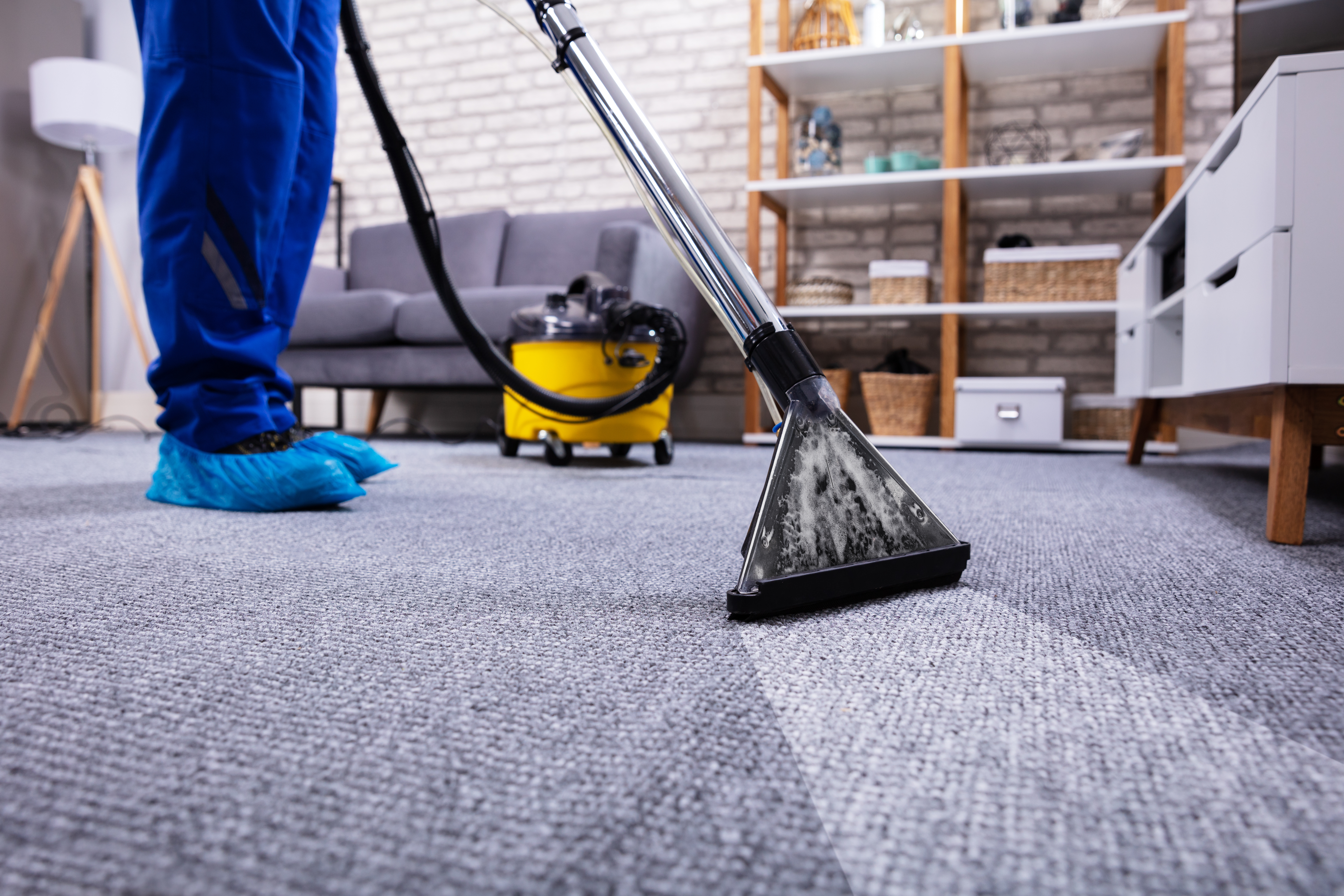 1procleaning services - floor and carpet cleaning